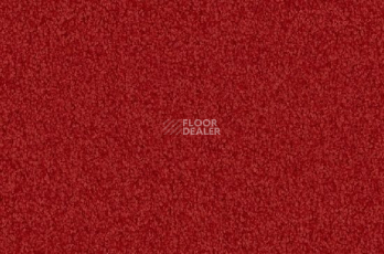 Ковролин Vorwerk Viola 1l50 фото 1 | FLOORDEALER