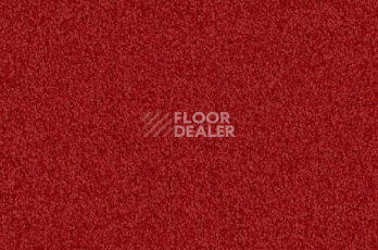 Ковролин Vorwerk Viola 1l50 фото 1 | FLOORDEALER