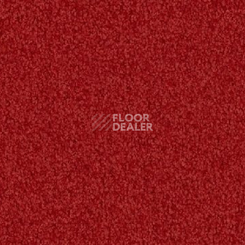 Ковролин Vorwerk Viola 1l50 фото 1 | FLOORDEALER