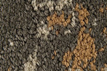 Innova Мираж q 492 02 фото 4 | FLOORDEALER