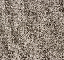 Ковролин Big Rose 155 фото 1 | FLOORDEALER