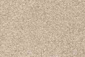 Ковролин AW Masquerade Porzia 33 фото  | FLOORDEALER