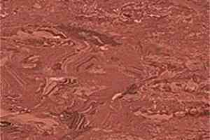 Линолеум Polyflor 2000 Pur 8400 фото  | FLOORDEALER