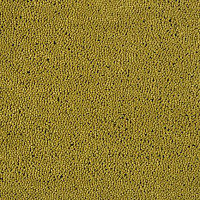 Ковролин Lano Casanova 520 фото 1 | FLOORDEALER