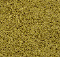 Ковролин Lano Casanova 520 фото 1 | FLOORDEALER