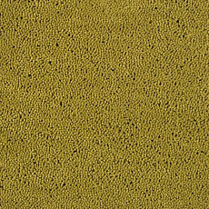 Ковролин Lano Casanova 520 фото 1 | FLOORDEALER