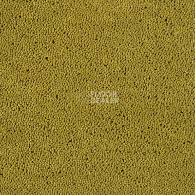 Ковролин Lano Casanova 520 фото 1 | FLOORDEALER