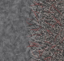 Ковролин Flotex by Starck Vortex 312002 Vortex Ruby a2 фото 1 | FLOORDEALER