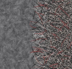 Ковролин Flotex by Starck Vortex 312002 Vortex Ruby a2 фото 1 | FLOORDEALER