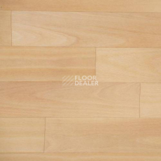 Линолеум Novoflor Extra Amos 4000-59 фото 1 | FLOORDEALER