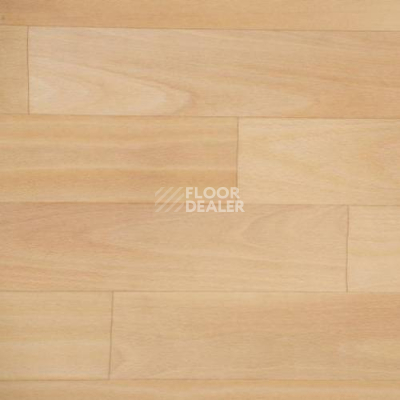 Линолеум Novoflor Extra Amos 4000-59 фото 1 | FLOORDEALER