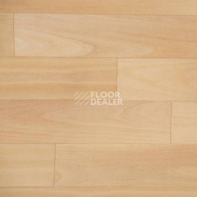 Линолеум Novoflor Extra Amos 4000-59 фото 1 | FLOORDEALER