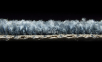 AW Masquerade Certosa 72 фото 4 | FLOORDEALER