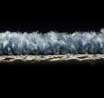 AW Masquerade Certosa 72 фото 4 | FLOORDEALER