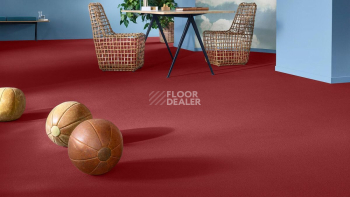 Vorwerk Superior 1049 Vorwerk 1n63 фото 2 | FLOORDEALER