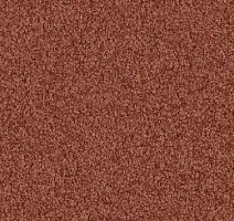 Ковролин Vorwerk Viola 1l47 фото 1 | FLOORDEALER