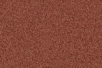 Ковролин Vorwerk Viola 1l47 фото 1 | FLOORDEALER