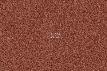 Ковролин Vorwerk Viola 1l47 фото 1 | FLOORDEALER