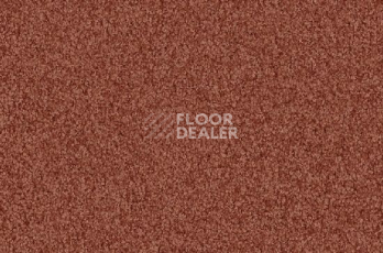 Ковролин Vorwerk Viola 1l47 фото 1 | FLOORDEALER