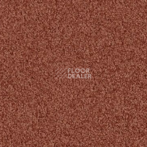 Ковролин Vorwerk Viola 1l47 фото 1 | FLOORDEALER