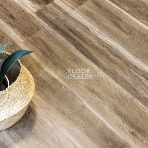 Alpine Floor Ultra 2мм ОРЕХ СВЕТЛЫЙ ECO 5-12 фото 2 | FLOORDEALER