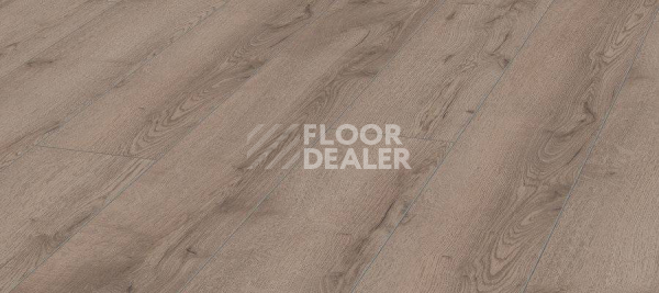 Ламинат Kronotex Mammut Plus d4727 Дуб Горный Серый фото 1 | FLOORDEALER
