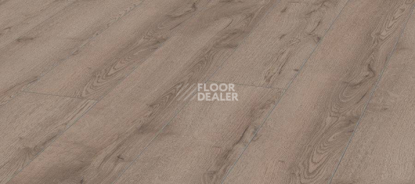 Ламинат Kronotex Mammut Plus d4727 Дуб Горный Серый фото 1 | FLOORDEALER