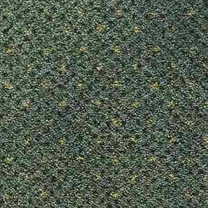 Ковролин CONDOR Carpets America 573 фото ##numphoto## | FLOORDEALER