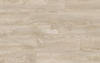 Next Acoustic дерево SILVERLEAF OAK 232 BO фото 4 | FLOORDEALER