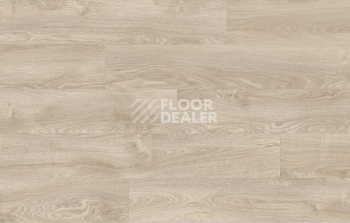 Moduleo Next Acoustic дерево SILVERLEAF OAK 232 BO фото 4 | FLOORDEALER