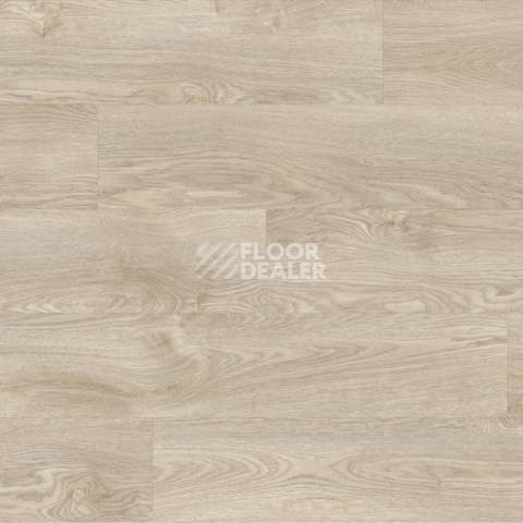 Moduleo Next Acoustic дерево SILVERLEAF OAK 232 BO фото 4 | FLOORDEALER