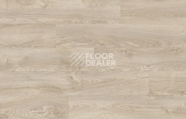 Кварцвиниловые полы Moduleo Next Acoustic дерево SILVERLEAF OAK 232 BO фото 4 | FLOORDEALER