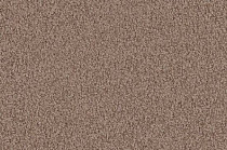 Ковролин Vorwerk Viola 8h50 фото 1 | FLOORDEALER