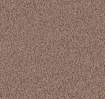 Ковролин Vorwerk Viola 8h50 фото 1 | FLOORDEALER