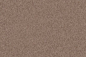 Ковролин Vorwerk Viola 8h50 фото 1 | FLOORDEALER