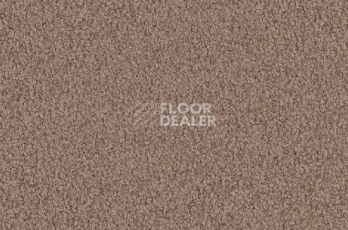 Ковролин Vorwerk Viola 8h50 фото 1 | FLOORDEALER
