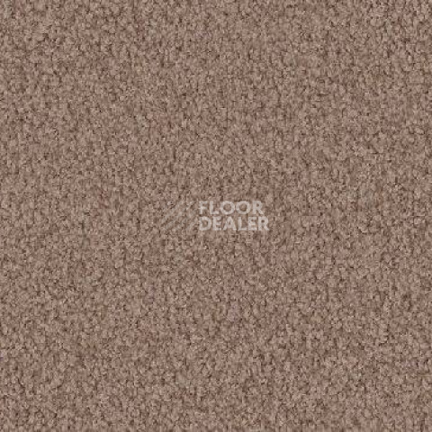 Ковролин Vorwerk Viola 8h50 фото 1 | FLOORDEALER