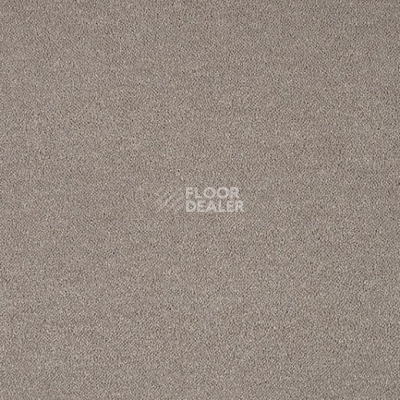 Ковролин Lano Pleasure Ple 0840 фото 1 | FLOORDEALER