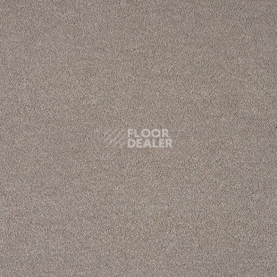 Ковролин Lano Pleasure Ple 0840 фото 1 | FLOORDEALER