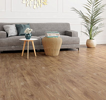 Alpine Floor Albero 10мм A1005 ДУБ ШЕРВУД фото 2 | FLOORDEALER