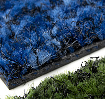 Forbo Coral Brush 5722 Cornflower Blue фото 3 | FLOORDEALER