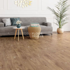 Alpine Floor Albero 10мм A1005 ДУБ ШЕРВУД фото 2 | FLOORDEALER