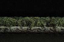 Art Intervention Коллекция Creative Spark Creative Spark 646 фото 8 | FLOORDEALER