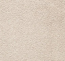 Ковролин In-Tense 34 фото 1 | FLOORDEALER