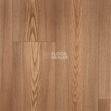 Линолеум Grabo Terrana Top Extra 4265-253 фото 1 | FLOORDEALER