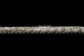 Balsan Season - Summer / Winter 620 фото 3 | FLOORDEALER