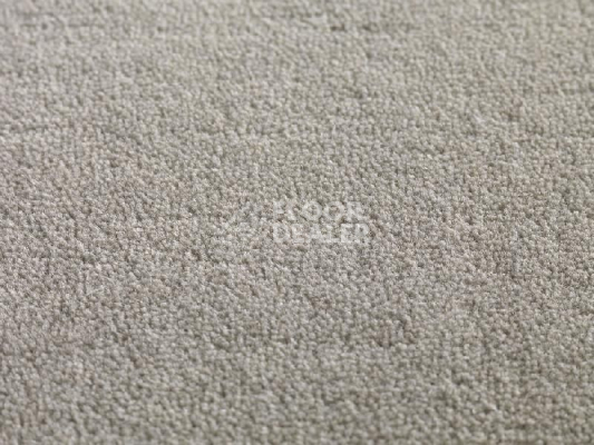 Ковролин Jacaranda Carpets Heavy Velvet Vellum фото 1 | FLOORDEALER
