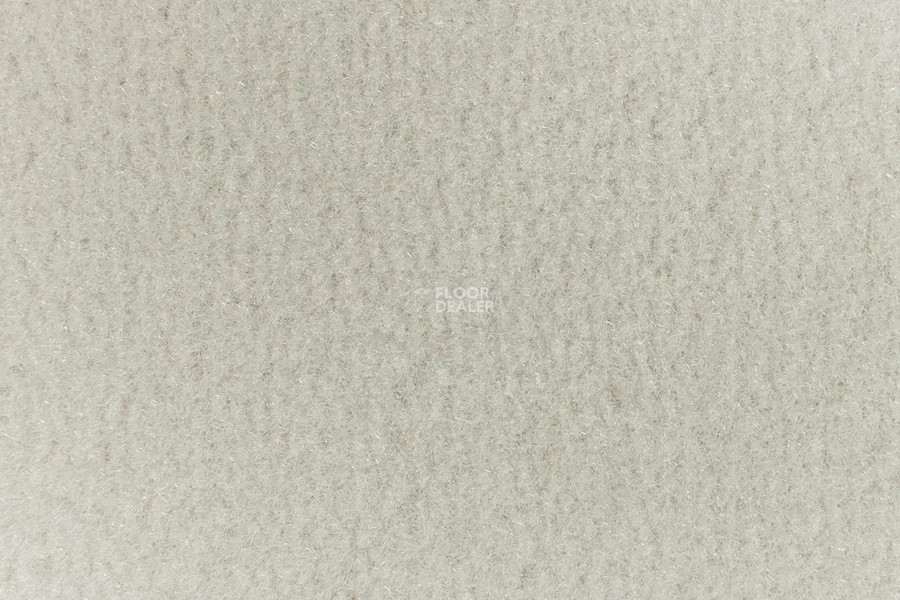 Vorwerk Passion 1000/Modena Vorwerk 5v22 фото 2 | FLOORDEALER