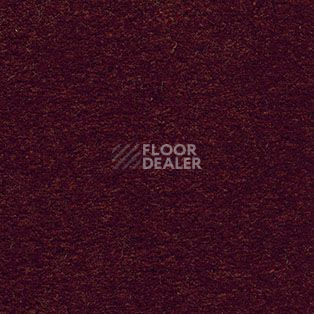 Ковролин AW Hermes 19 фото 1 | FLOORDEALER