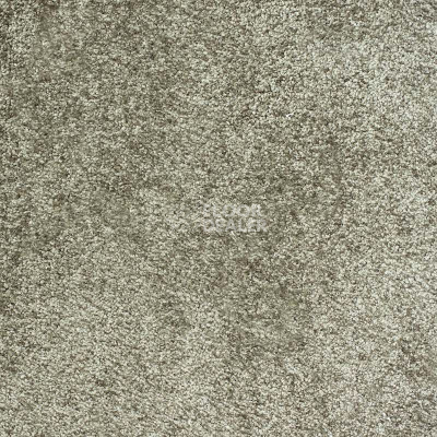 Ковролин Зартекс Essential Soft Essential Soft Перламутр 021 фото 1 | FLOORDEALER